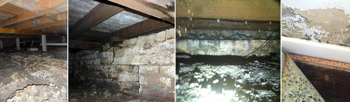 Subfloor moisture and internal ventilation solutions