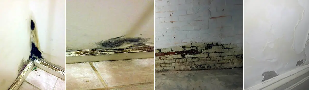 Rising damp anjd wall moisture solutions